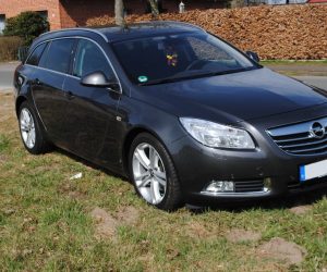 Покупка, внос на кола от Германия - Opel Insignia 2.0 CDTI Sports Tourer Sport 2009 160hp (1)